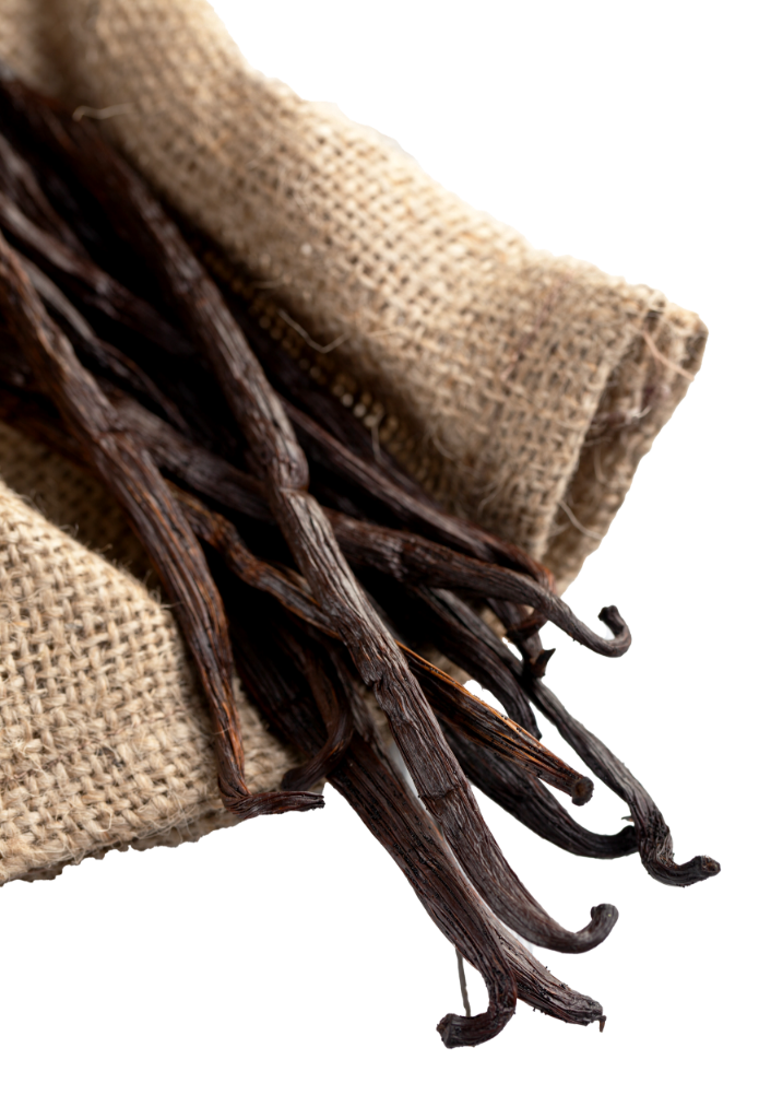 Escape Into The Heart of Our Vanilla Farm
