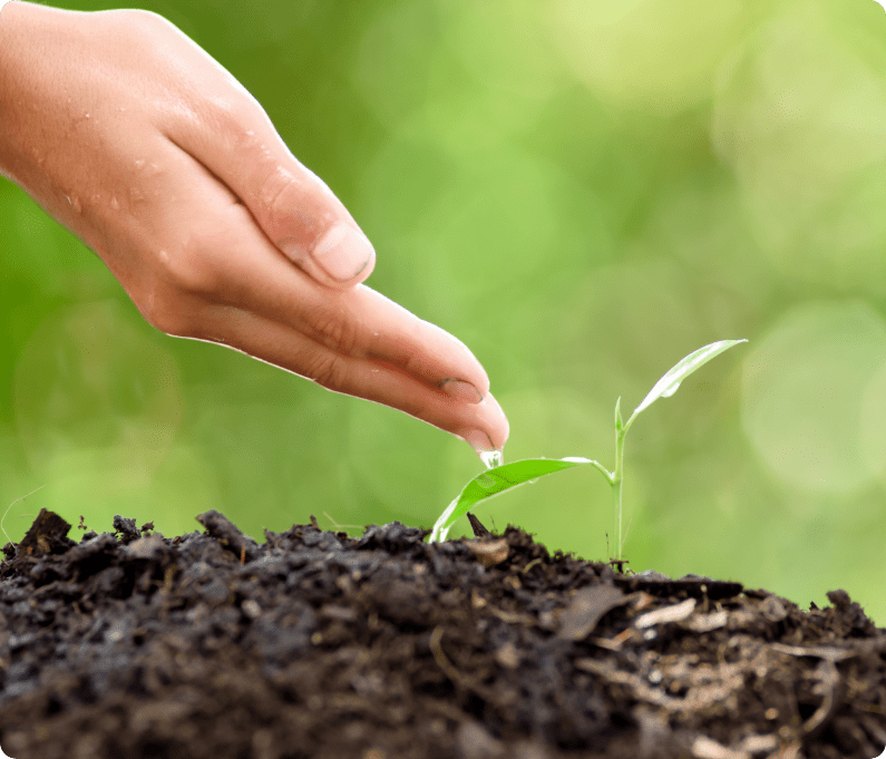 ORGANIC FARM SUPPLIES & SYSTEM