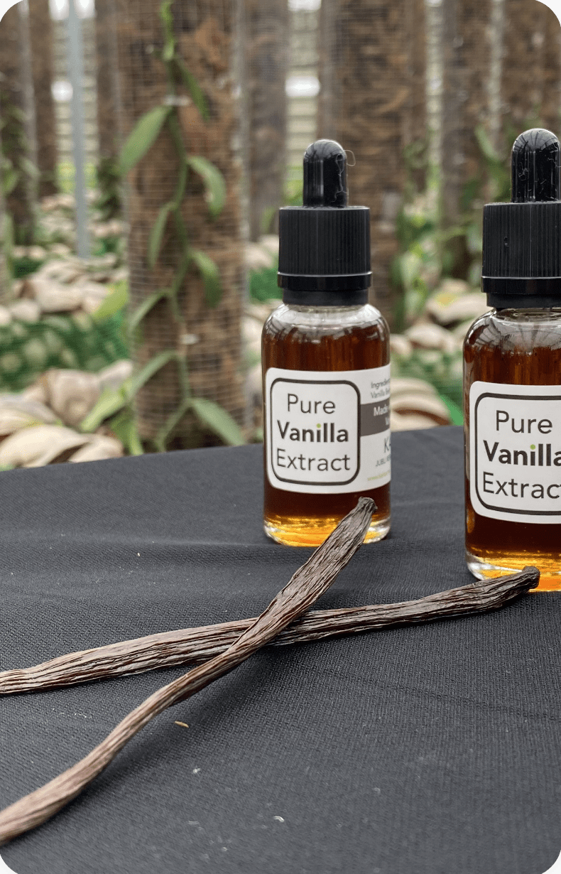 Vanilla Extract