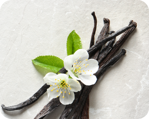 Vanilla_pods